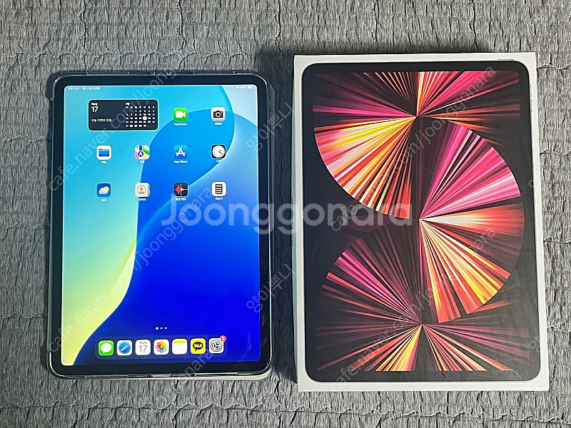 아이패드 프로 11 M1 2TB 셀룰러 팝니다--0