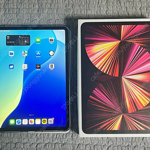 아이패드 프로 11 M1 2TB 셀룰러 팝니다
