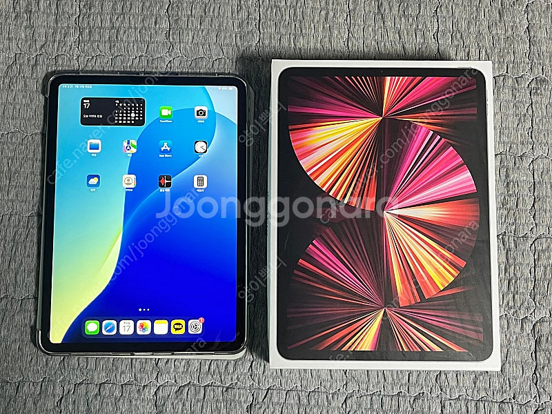 아이패드 프로 11 M1 2TB 셀룰러 팝니다--1