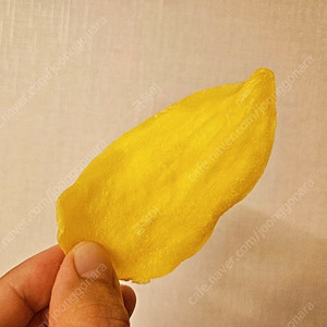 섹시망고
