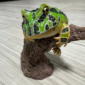 반다이 개구리 생물도감 가챠
