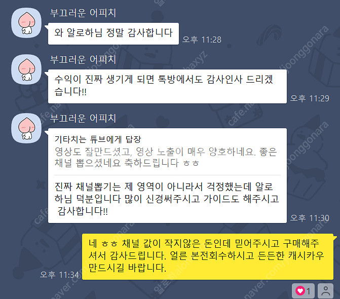 (환불보장)SS급 구독자 8만1천명 수익창출 쿠팡 쇼핑...--5