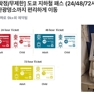 도쿄 매트로패스 48시간 2장