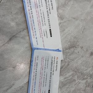 로블카드 오션월드 오션플레이 워터파크 이 용권 2매(4인)
