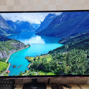 LG 27GR95QE OLED 모니터 판매합니다.