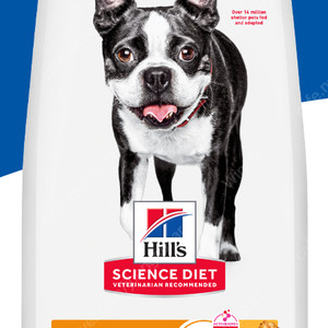 힐스 강아지 사료 어덜트 라이트 스몰바이트 2kg 2포대 일괄