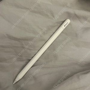애플펜슬 c타입
