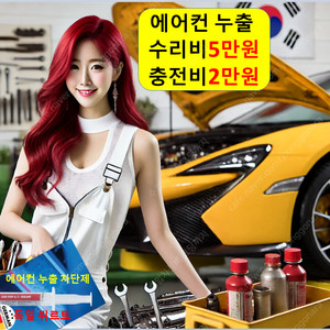 에어컨 충전 2만원 수리 전문점 냉매 청소 자동차 카 차량 서울 부산 인천 대구 광주 대전 수원 고양 성남 창원 울산 부천 청주 안산 천안 전주 화성 안양 김해 포항 제주 의정부