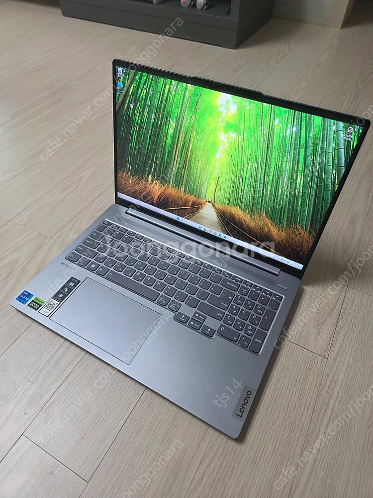레노버 아이디어패드 Pro 5i 16IRH i7-13세...--2