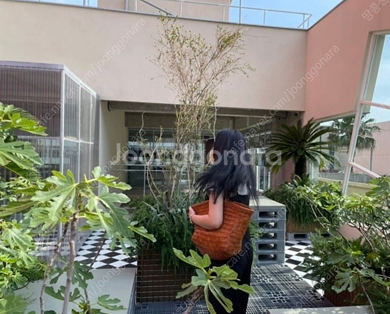 드래곤 디퓨전 캠프백 (드래곤백)--6