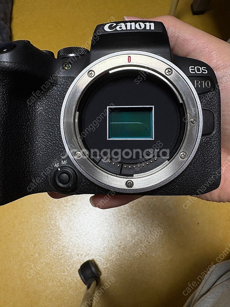 캐논 eos r10 과 rf 18-150mm 렌즈 함께...--1
