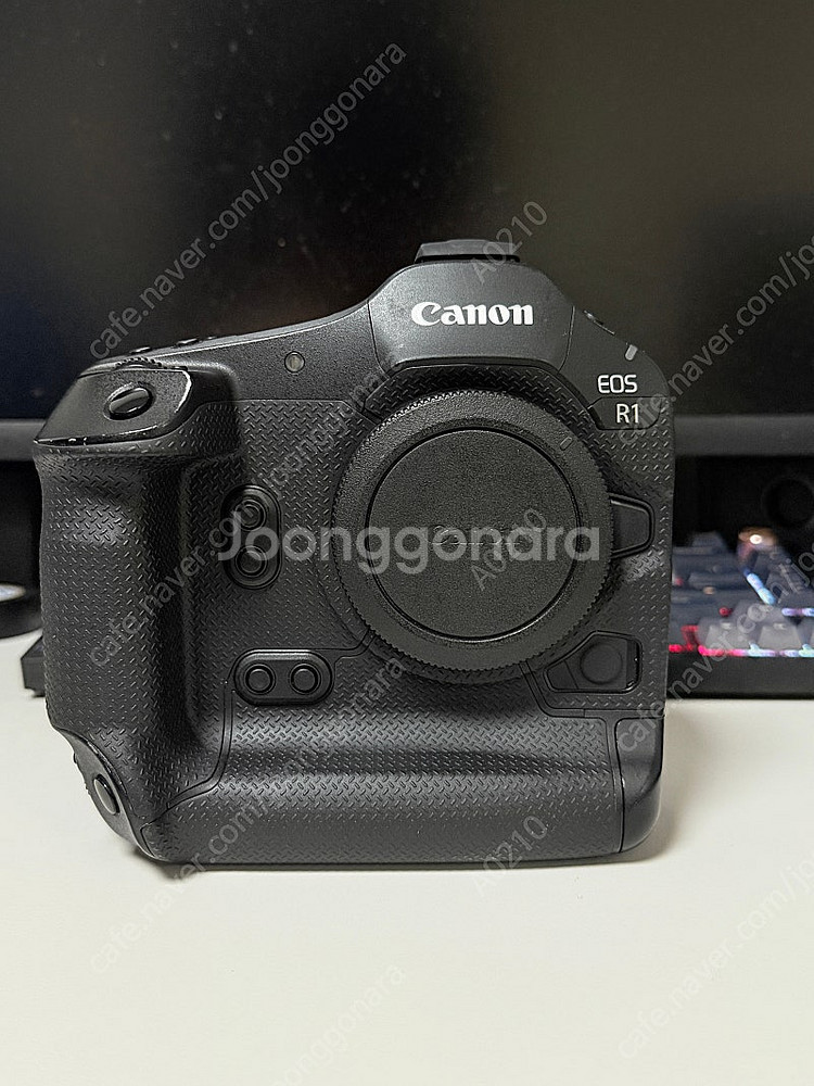 캐논 EOS R1--0