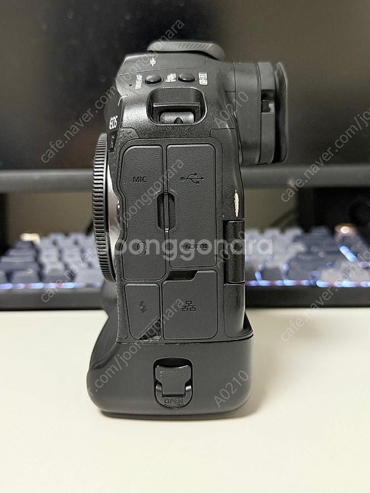 캐논 EOS R1--1