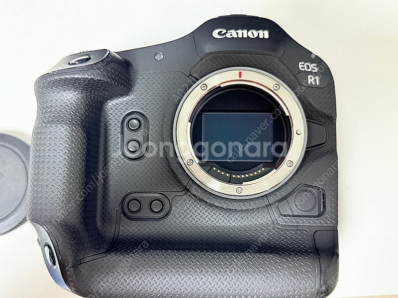 캐논 EOS R1--4