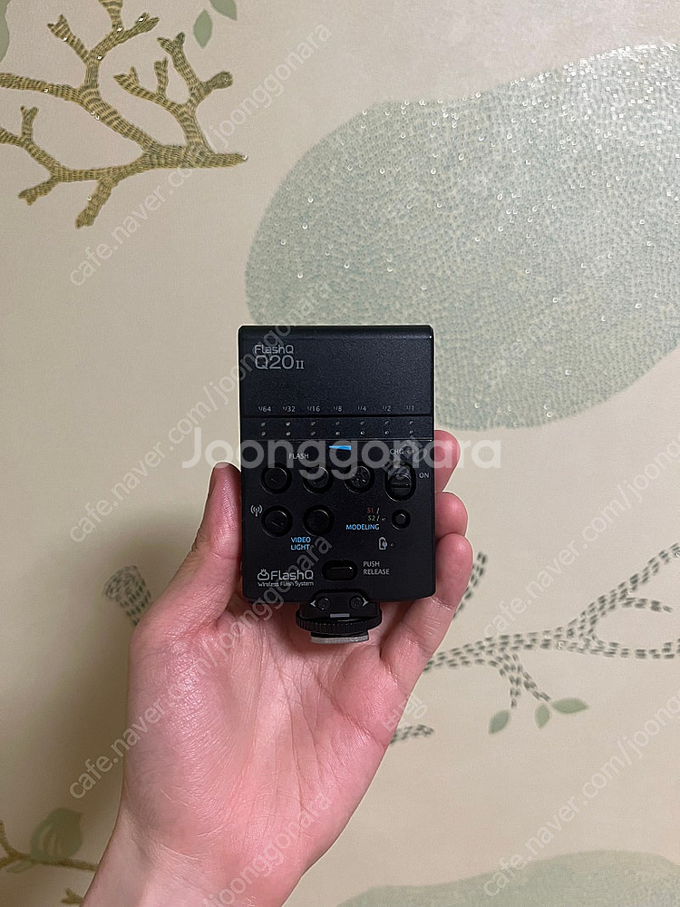 FLASHQ Q20 ii--2