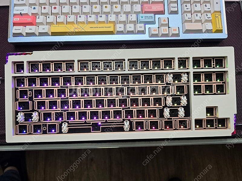 stars80 v2 베어본 (크림치즈)--1