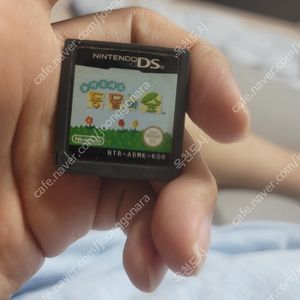 닌텐도ds 동물의숲 한글판 알칩 판매