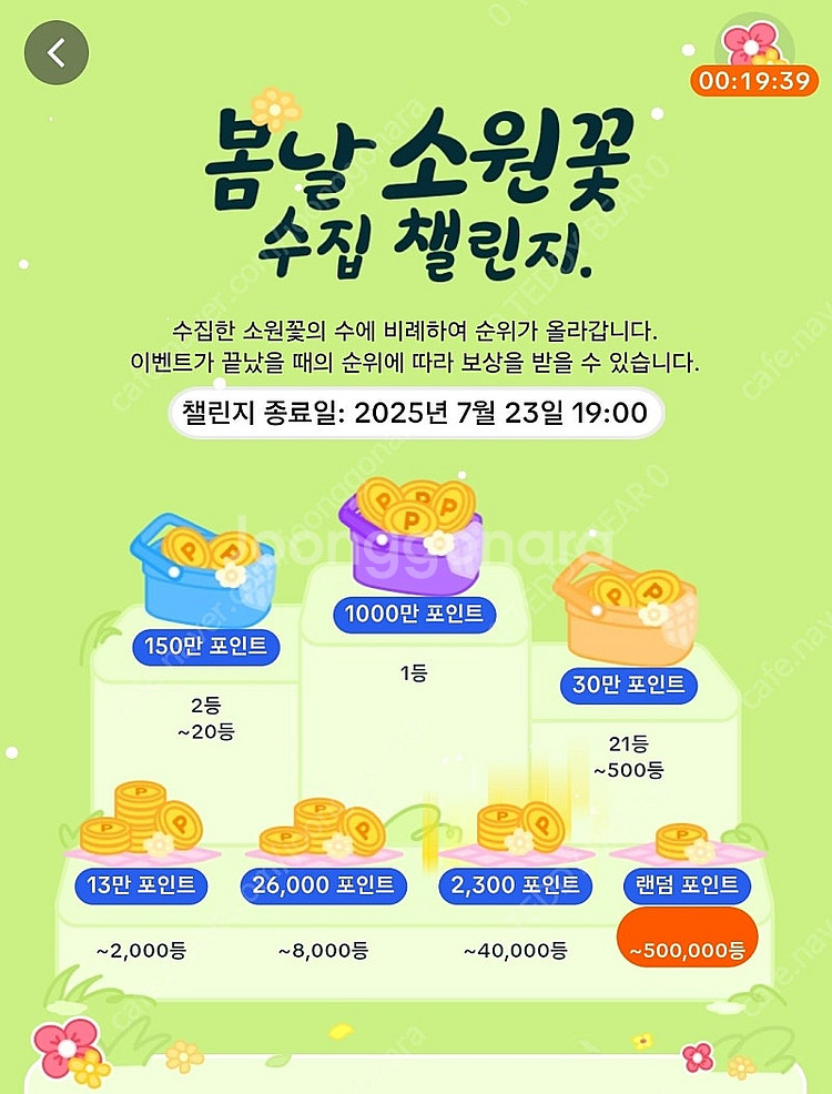 틱톡라이트 소원꽃 미접속 6개 판매 (7.18~)--0