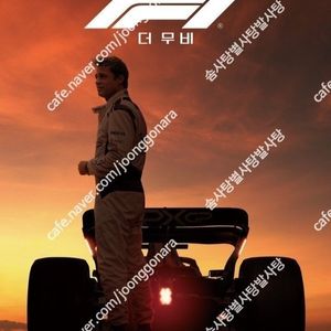 CGV/ 아이맥스 IMAX, 4DX, 스위트박스, 일반, 리클/ 롯데시네마 MX4D, 리클라이너 11000/ 메가박스/씨네컴포트 등