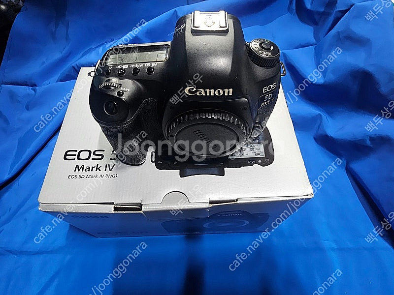 Eos 5D Mark4--2