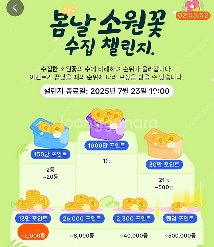 소원꽃 느린미접 500원 12개 6,000--0