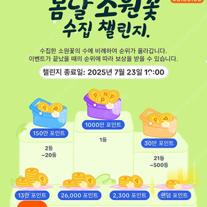 소원꽃 느린미접 500원 12개 6,000