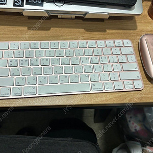 애플 매직 키보드 마우스2 핑크
