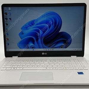 [LG전자] 울트라PC 15U50P-GR3DK / i3-1115G4, 4GB RAM, 256GB SSD, 15.6", 충전기 포함