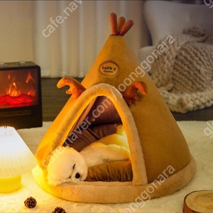강아지 고양이 집 새상품