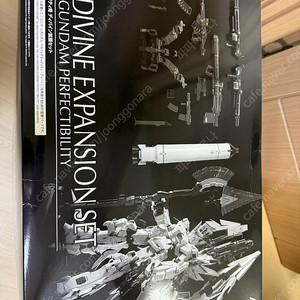 Pg 퍼펙티빌리티 전용 디바인 세트 팝니다