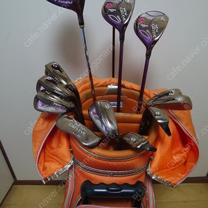 다이와 new cats eye 여성 풀셋트