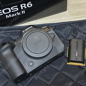 캐논 R6 Mark2 바디, 스몰리그 케이지 + 사이드 핸들 2개