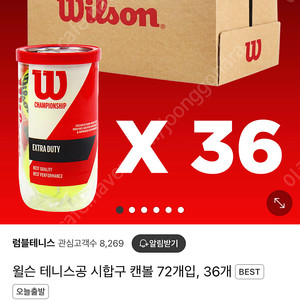 윌슨 챔피언십 테니스공 시합구 캔볼 36캔 3박스