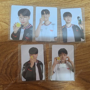 카스 티원 T1 포토카드 세트