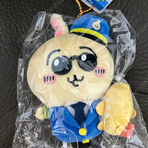 치이카와 파일럿 공항 우사기 미개봉