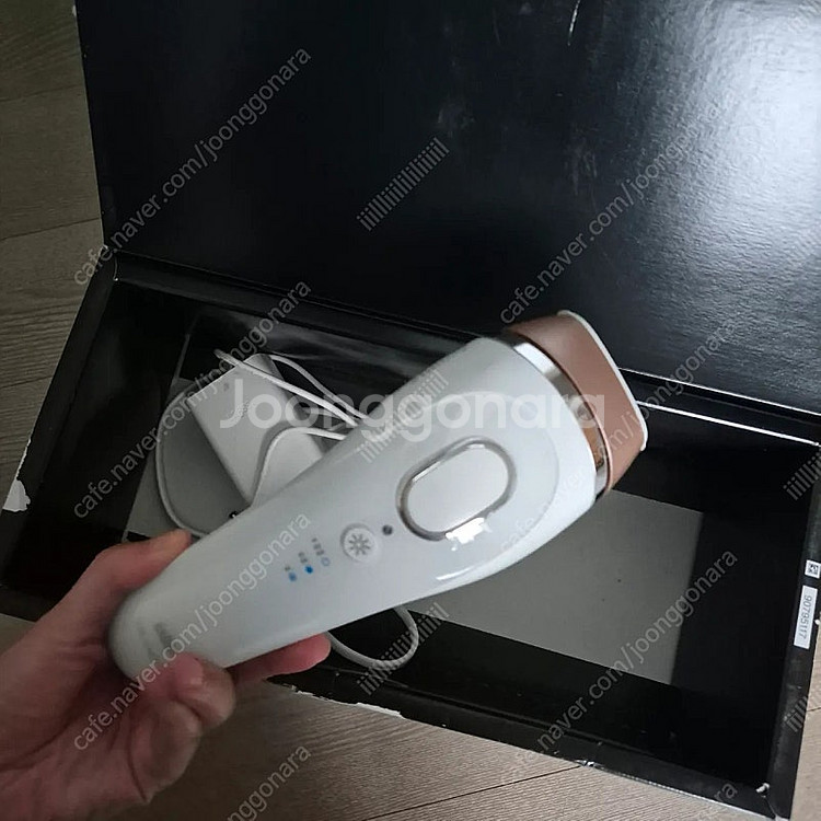 고장) 브라운제모기--1