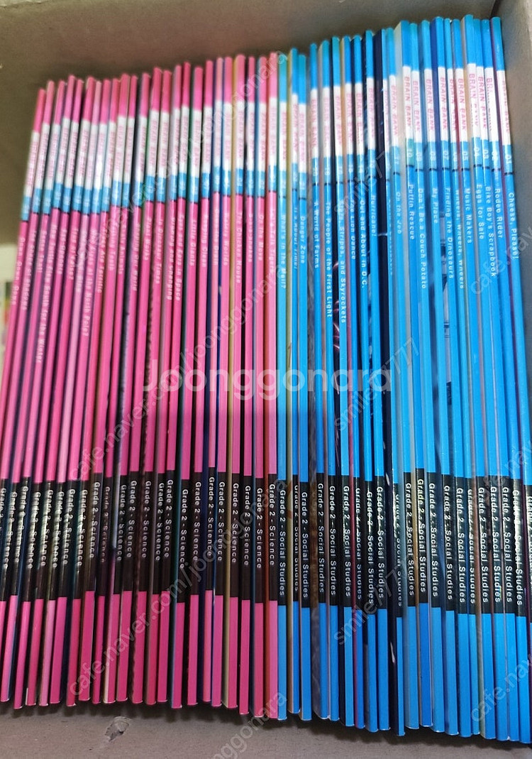 브레인 뱅크 brain bank G2 science/s...--2