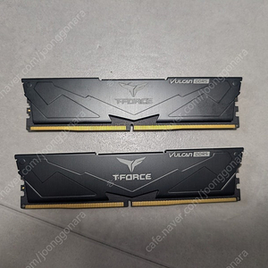 팀그룹 티포스 DDR5-5600 CL32 32G (16Gx2) 판매