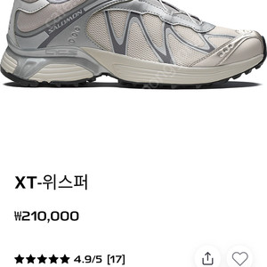 살로몬 xt-위스퍼 실버 245