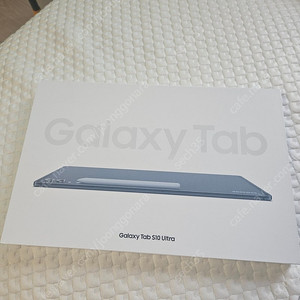 [미개봉새제품] 갤럭시 탭 S10 울트라 (256GB) SM-X920N