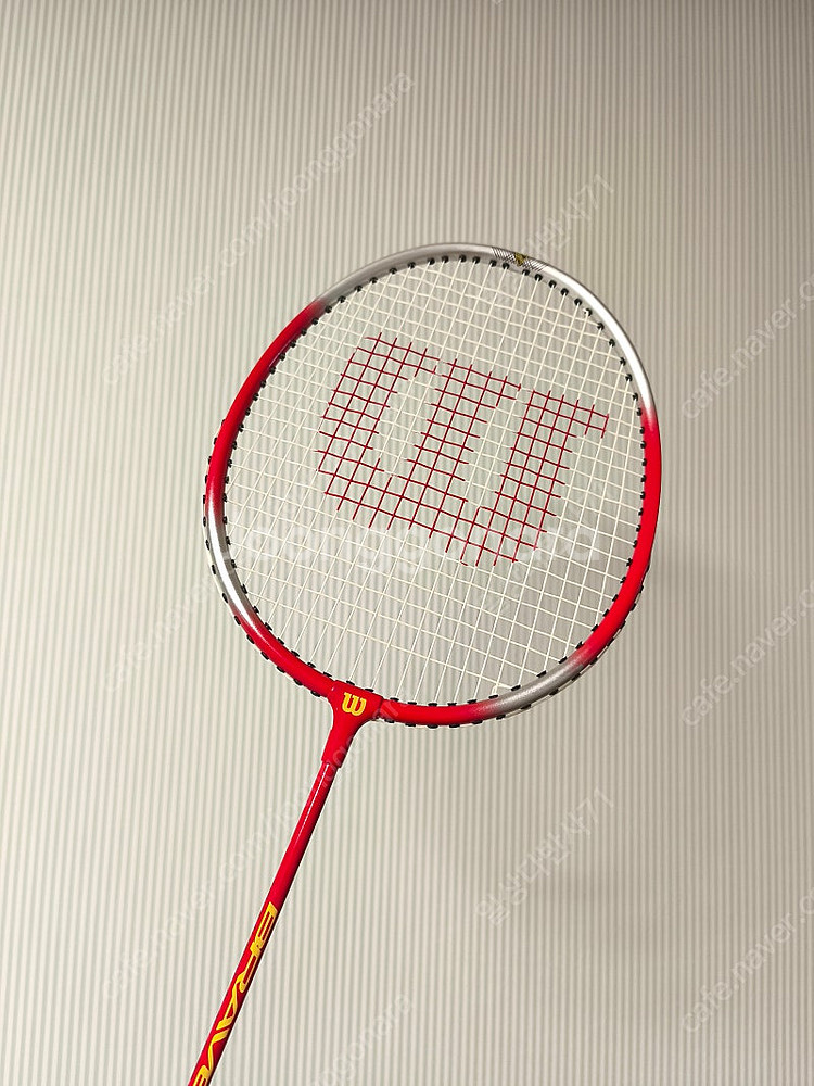 혼자 치는 배드민턴 연습기 애니턴 Any-ton 1--2