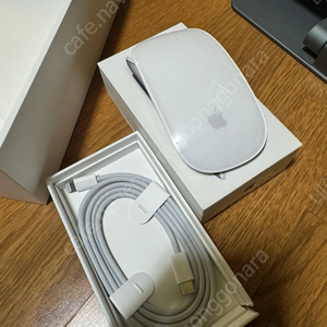 애플 매직 마우스 A1657