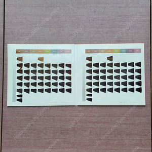 시세이도 염색약 차트 60,000원