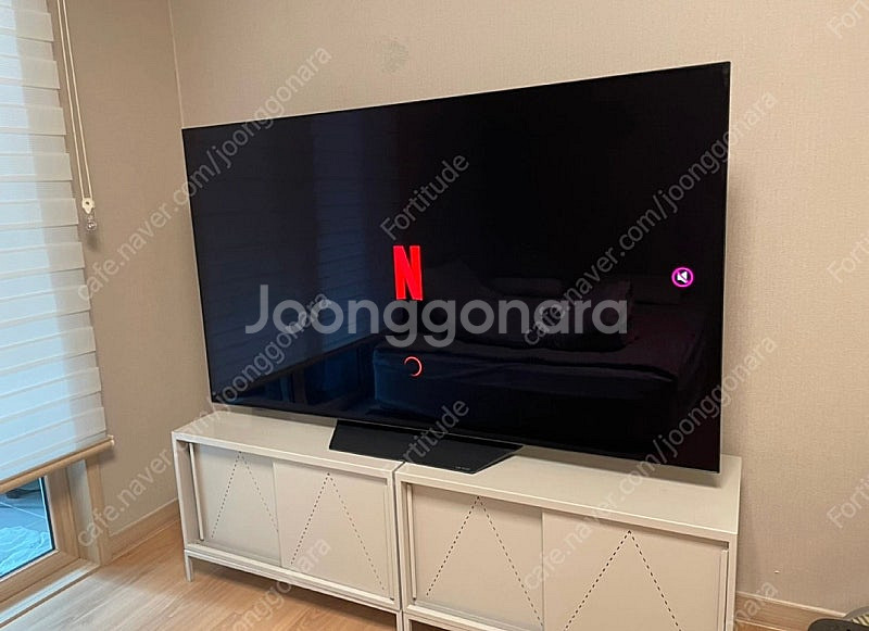 LG OLED 65인치--0