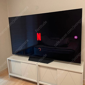 LG OLED 65인치