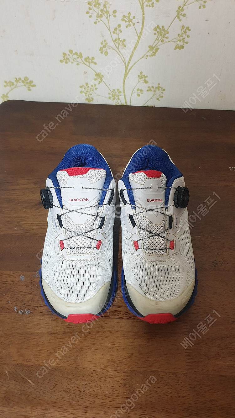 블랙야크 일루전 맥스 GTX 남녀공용 워킹화 245 판...--0