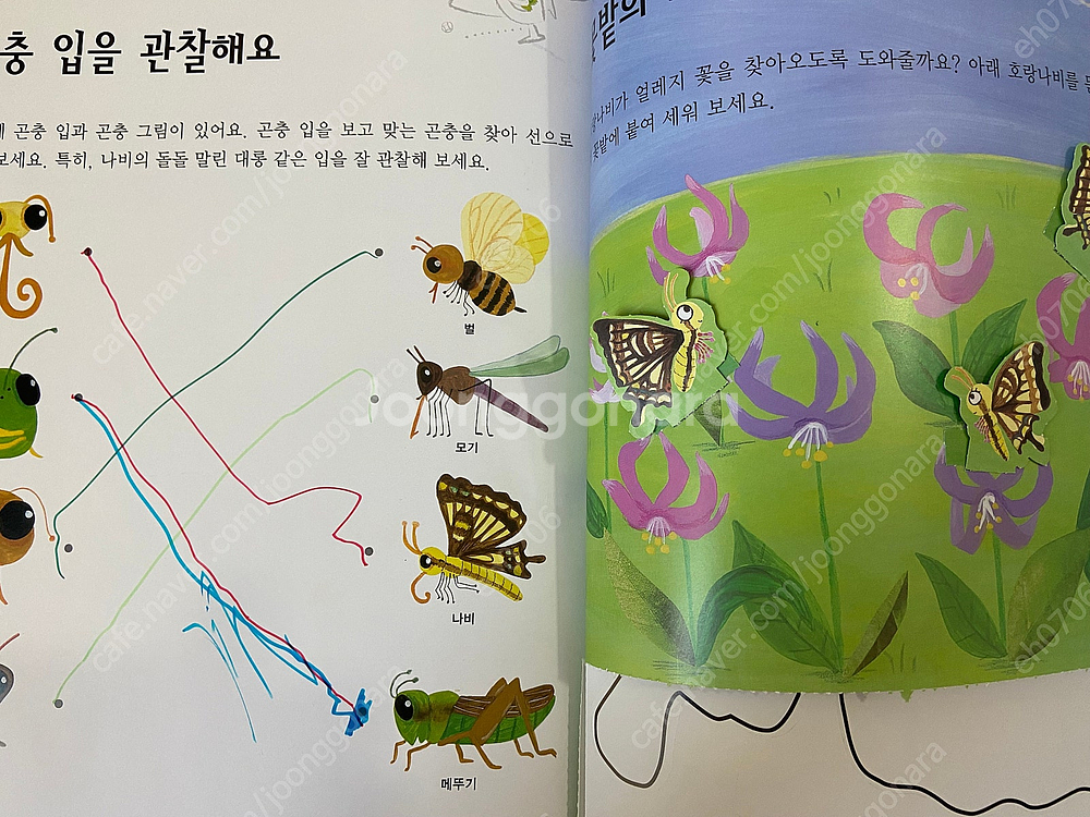 교원 전집(솔루토이/눈으로보는/호시탐탐 시리즈, 호야토...--8