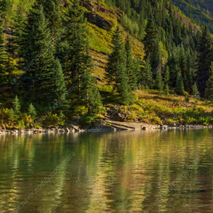 스타벅스 프리퀀시 일반200원 미션800원에 삽니다.