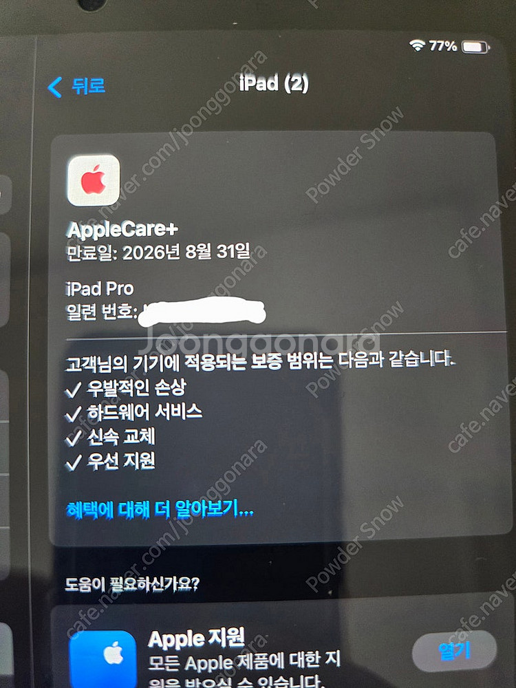 아이패드 프로 11 m4 256g wifi 애케플--0