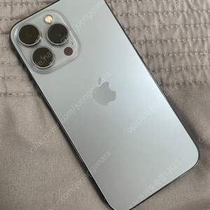 상품명 : 판매 [팝니다] 아이폰13프로 시에라블루 256GB 팝니다. (배터리성능 76%)